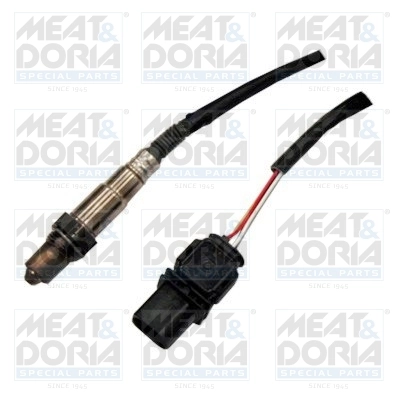 Oxygen Sensor